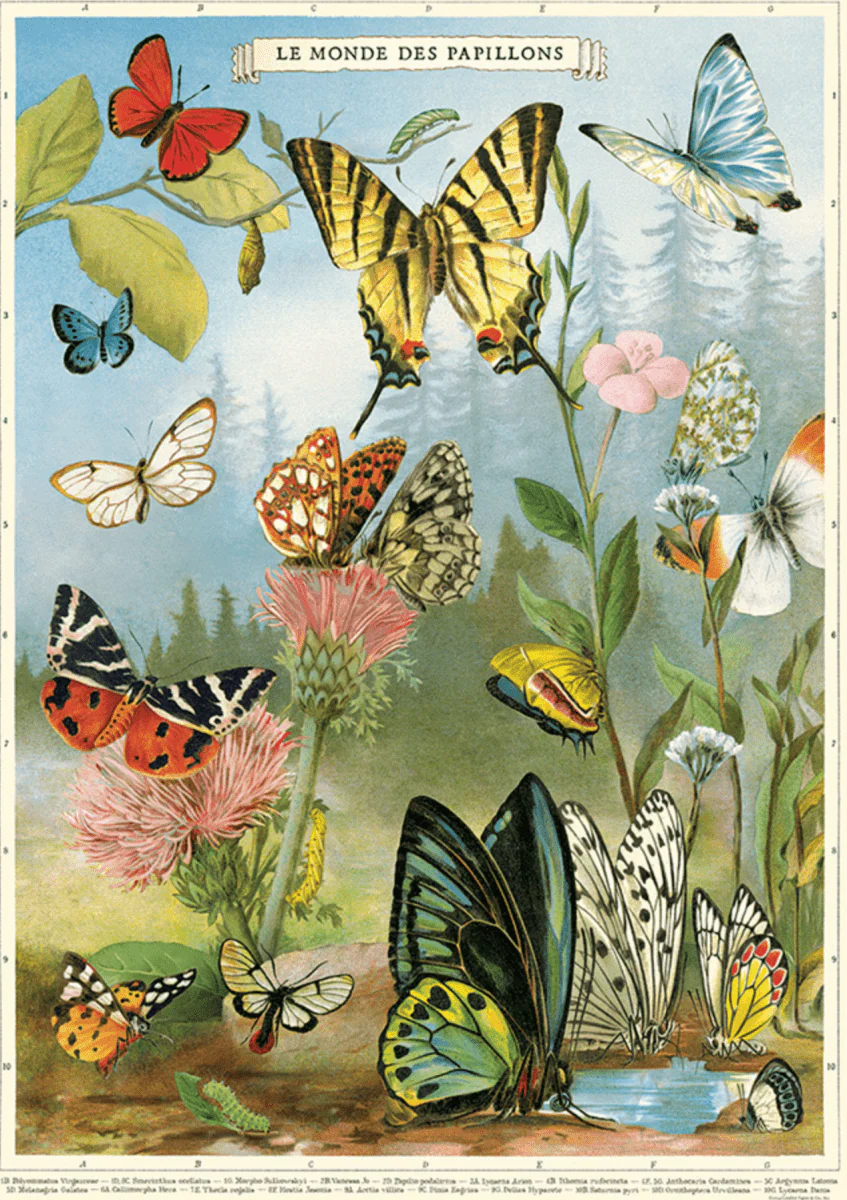 Affiche Cavallini Le Monde des Papillons