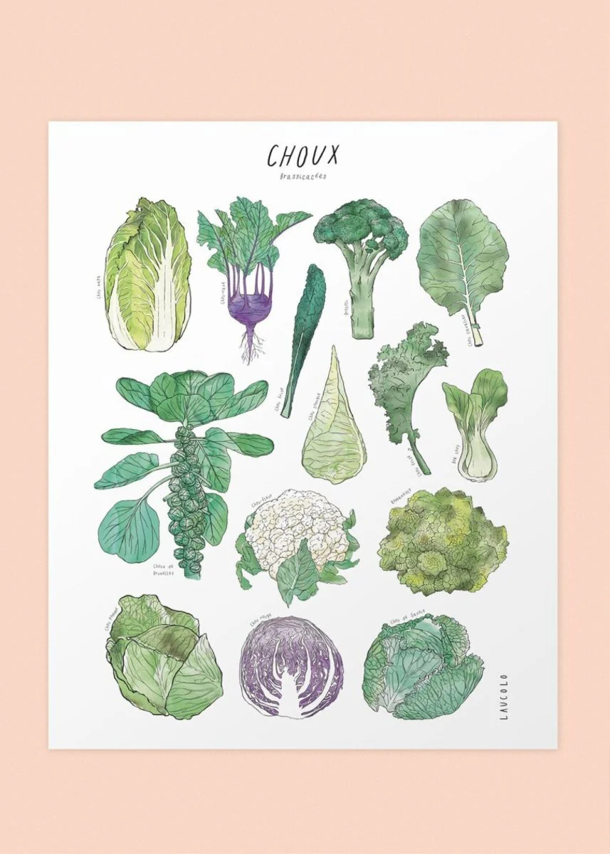 Affiche Laucolo 11 x 14 Choux - Image 3