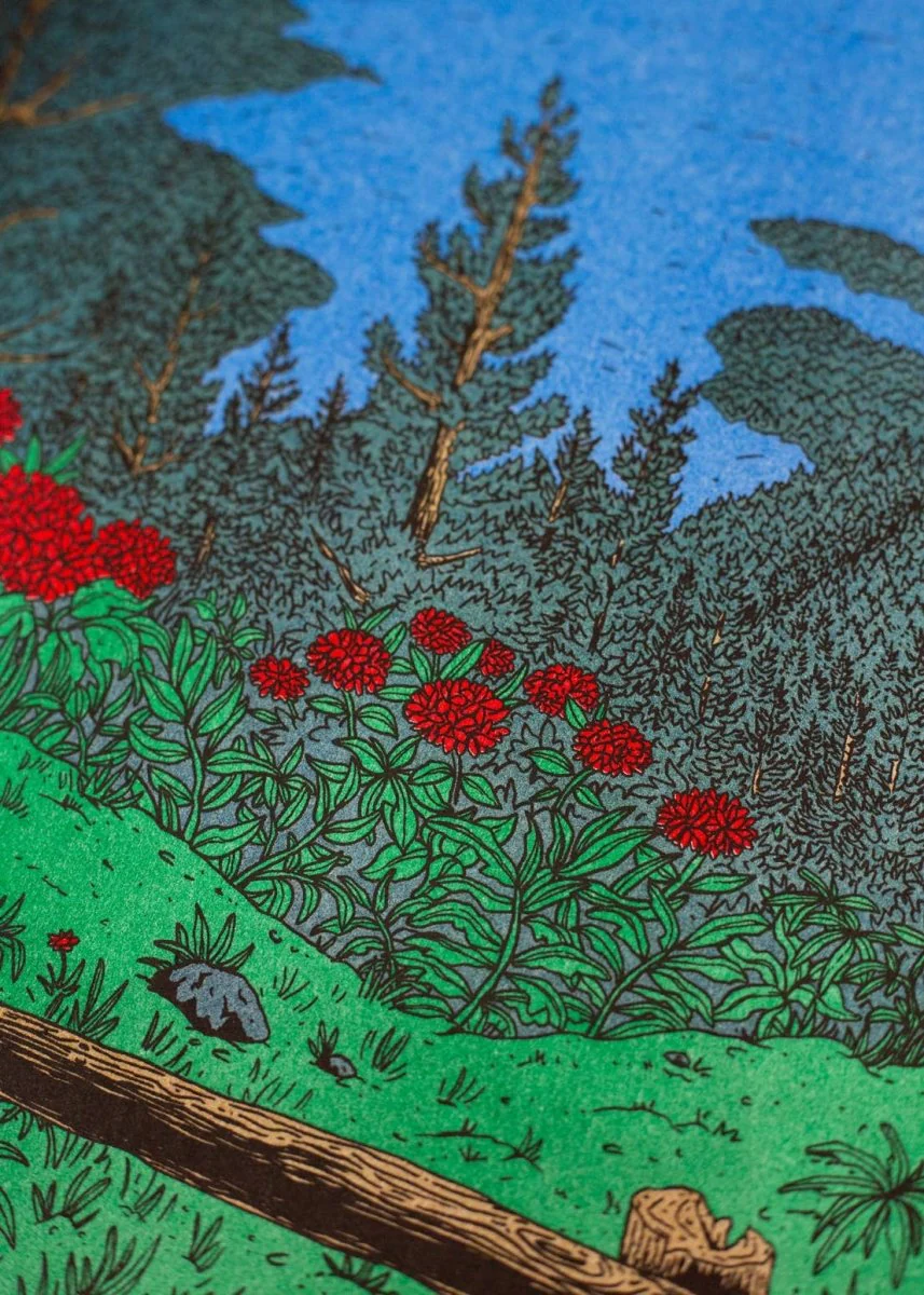 Miniature 2