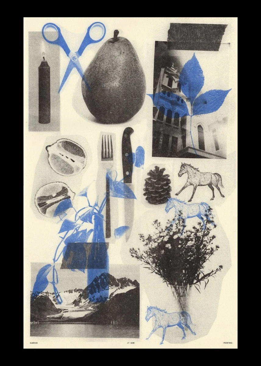 Affiche Riso 11 x 17 Sunroom At Home