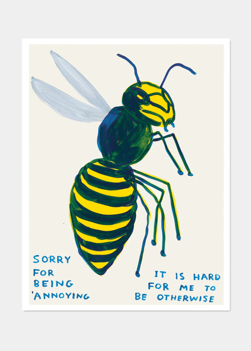 Affiche Sorry For Being Annoying 60 x 80 cm D.Shrigley