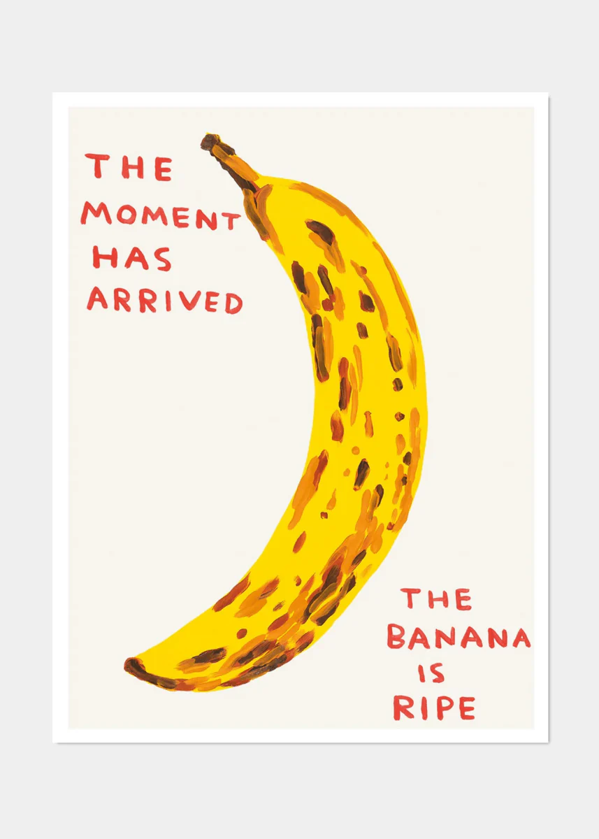 Affiche The Moment Has Arrived 60 x 80 cm D.Shrigley