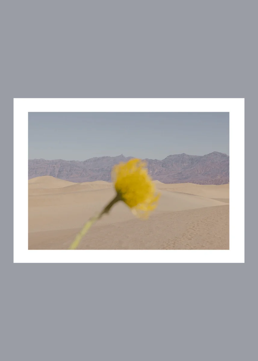 Affiche TPC Desert Mirage 30 x 40cm Nicole Mason