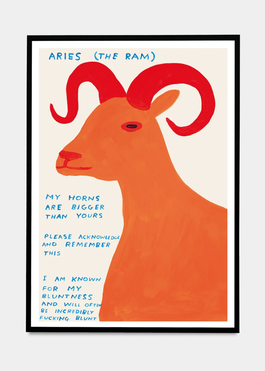 Affichette A5 Signs of the Zodiac D.Shrigley - Image 3
