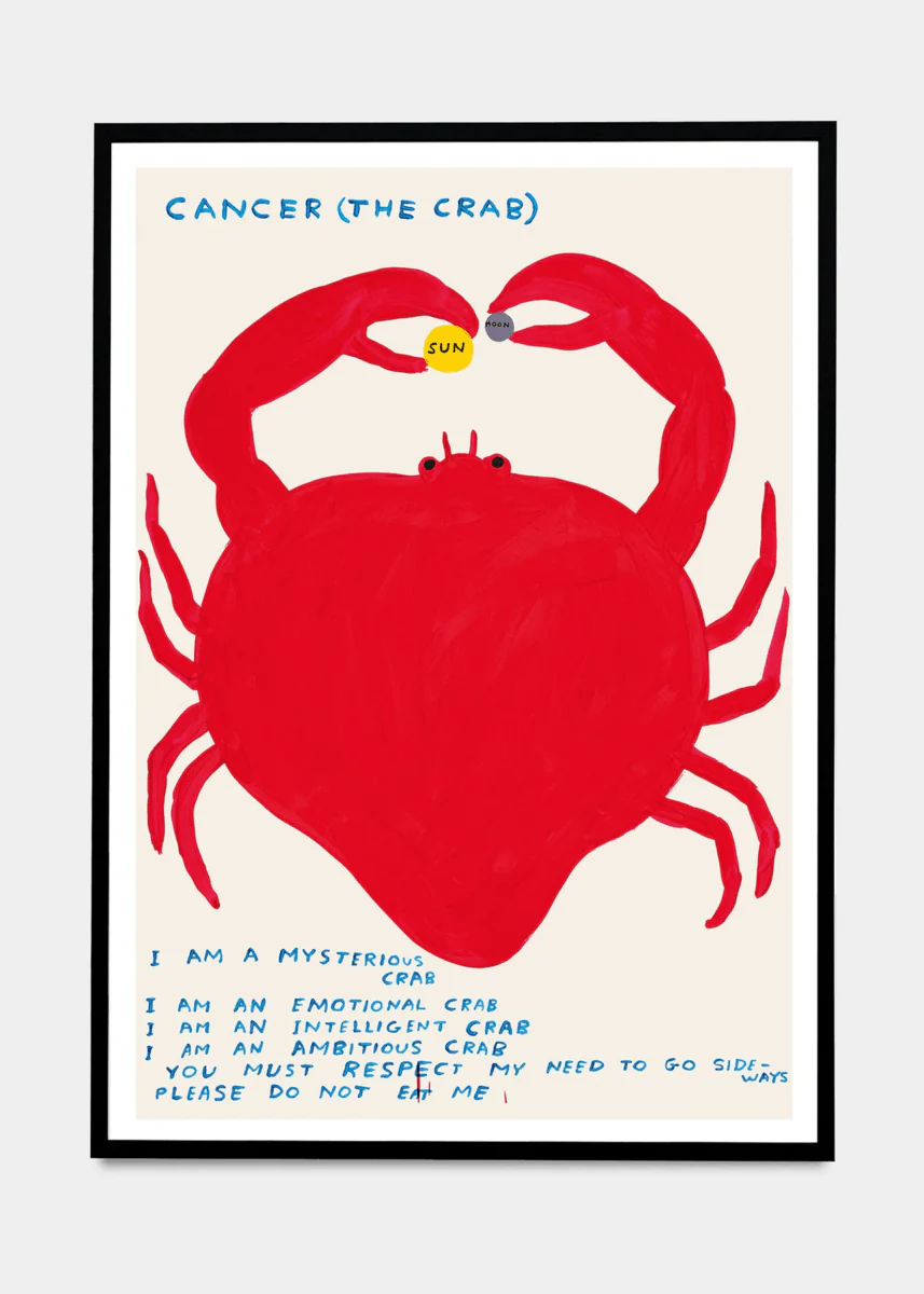 Affichette A5 Signs of the Zodiac D.Shrigley - Image 4
