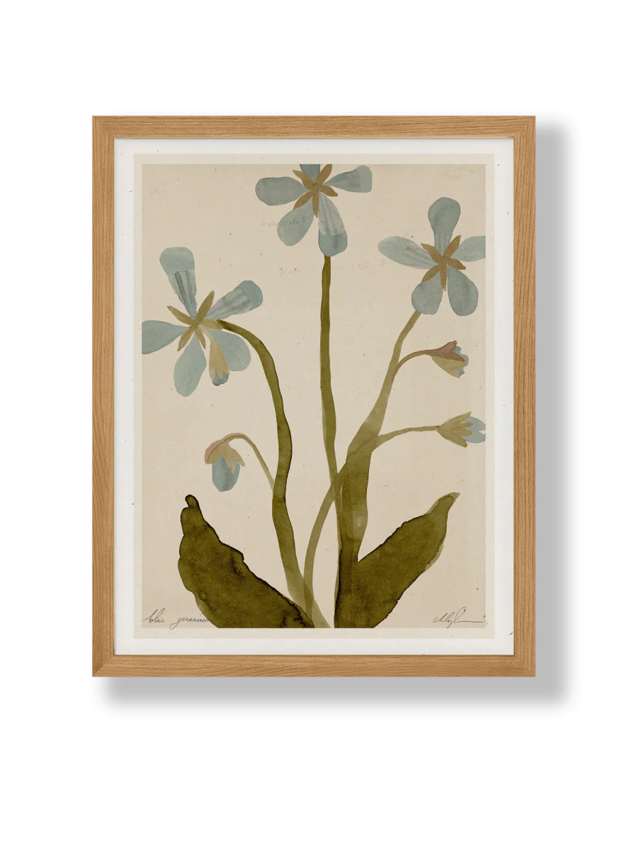 Affichette Blue Geranium 8.5 x 11 Cocoshalom