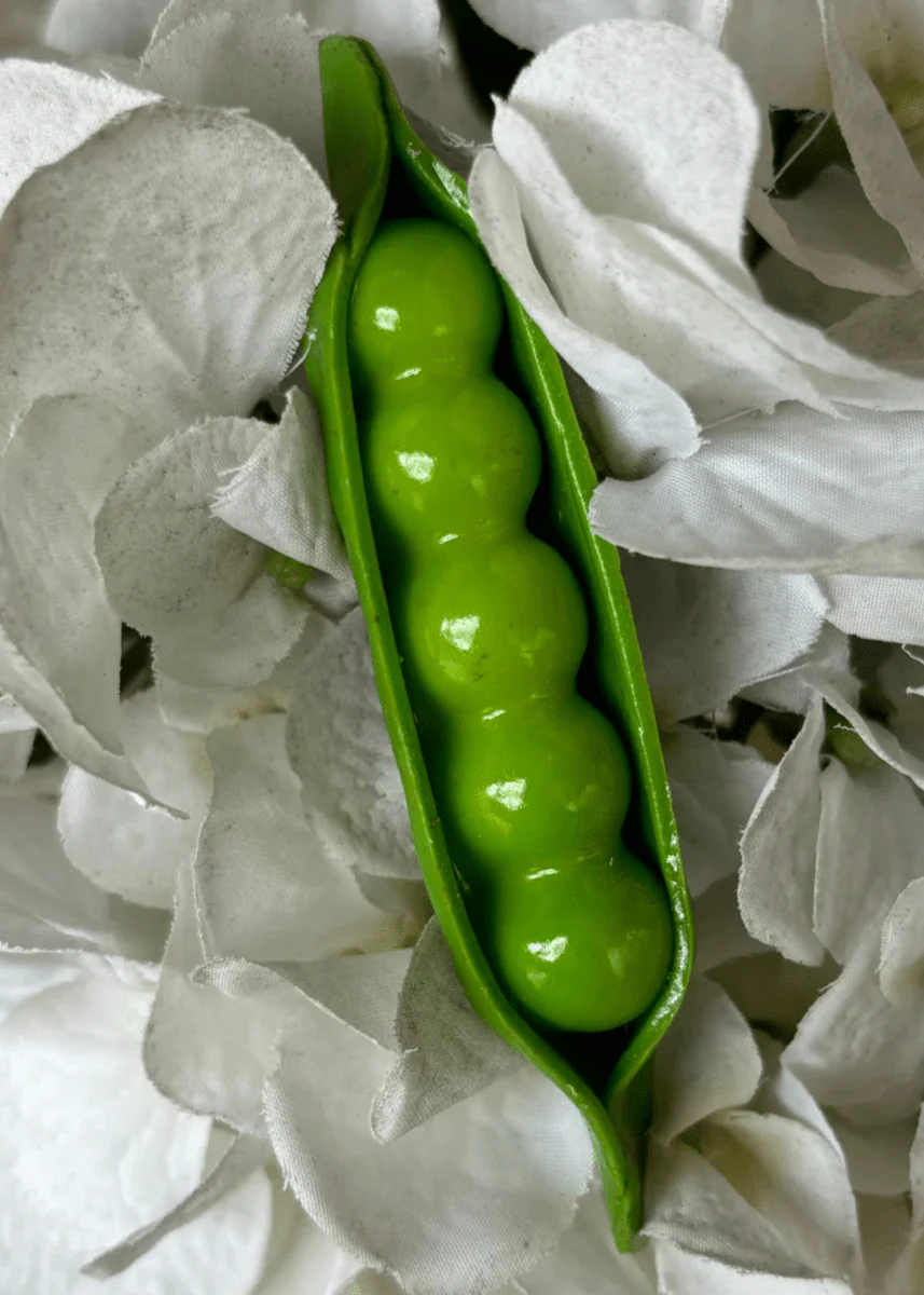 Aimant Pois MMarket