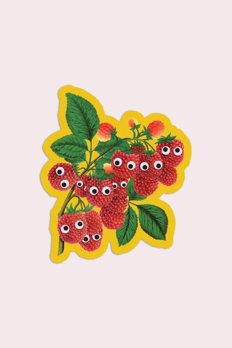 Autocollant Framboises Googly Stay Home Club - Image 2