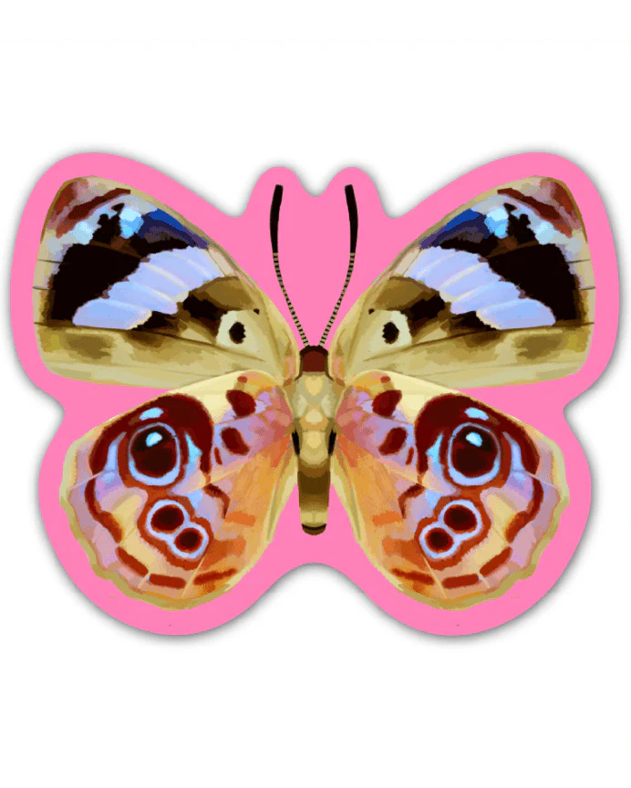 Autocollant Papillon Rose Rags Af