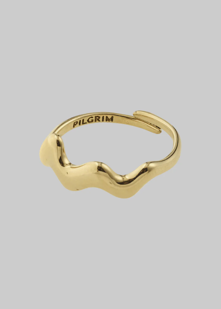 Bague Larkin Pilgrim (Argent ou Or) - Image 4