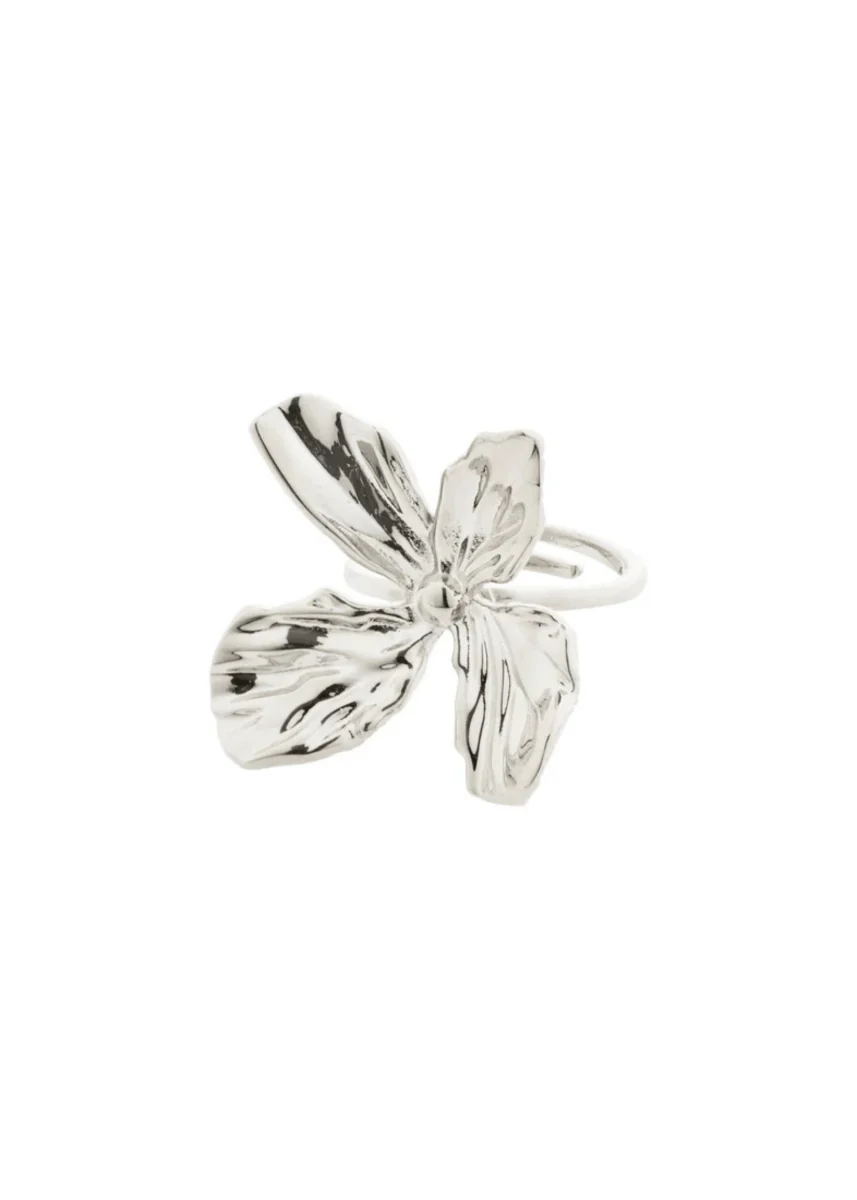 Bague Dream Pilgrim (Or ou Argent) - Image 3