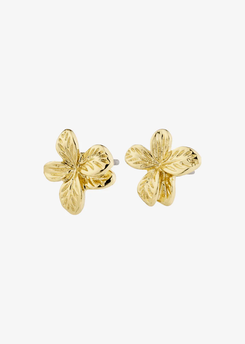 Boucles d'Oreilles Charmaine Pilgrim (Or ou Argent) - Image 3