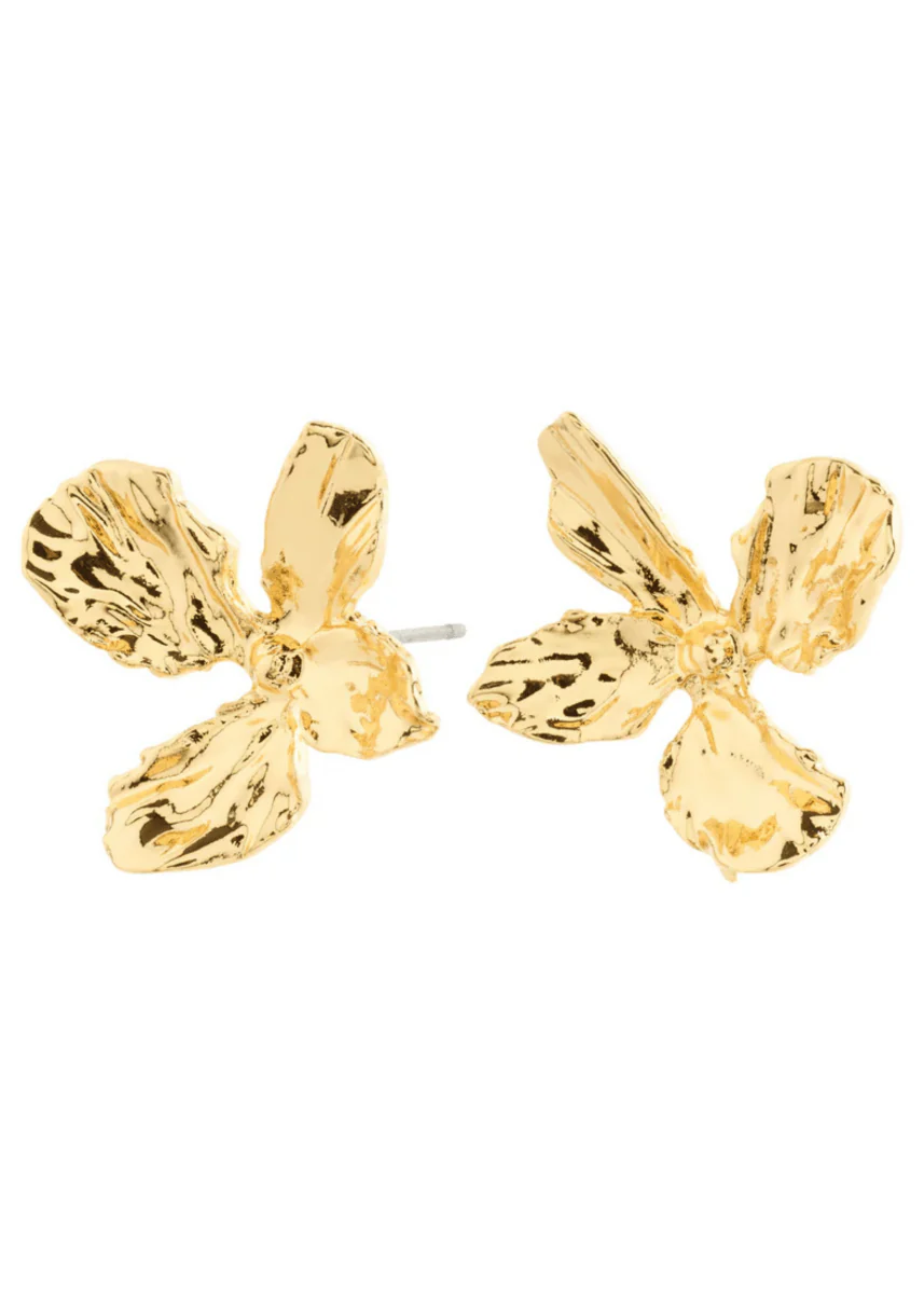 Boucles d'oreilles Dream Pilgrim (Argent ou Or) - Image 2