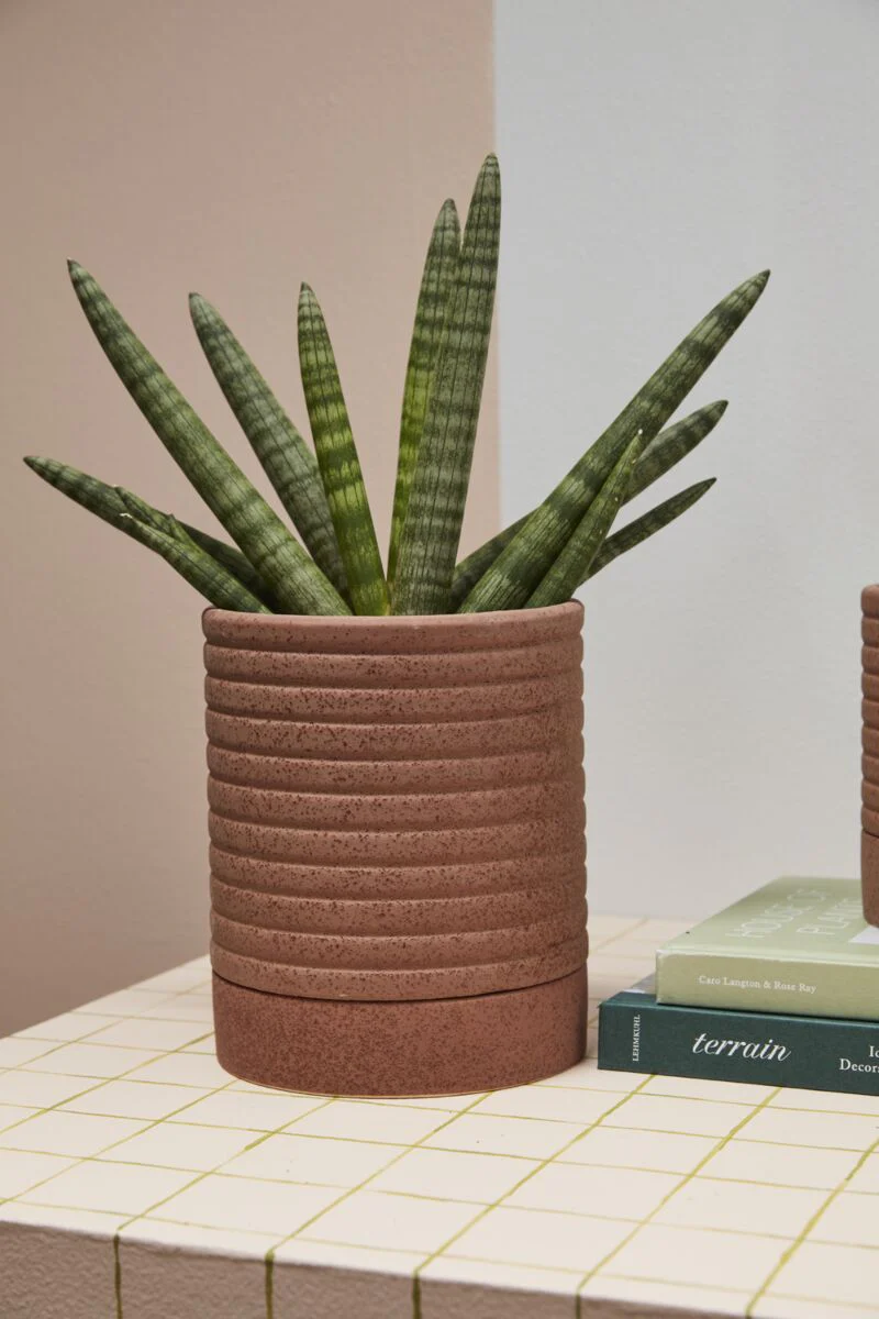 Cache-Pot Bardo 6.75 x 8 AD SOLDE - Vente Finale