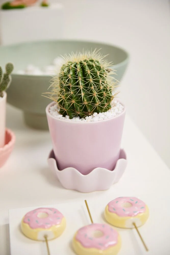 Cache-Pot Springvale Lilas 5.25 x 5 AD - Image 3