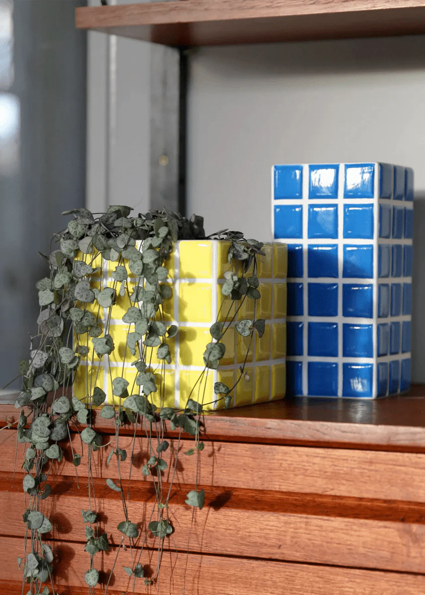 Miniature 2