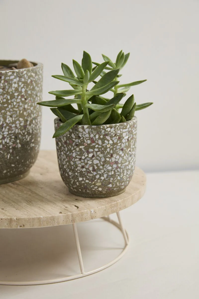 Cache-Pot Verde 4.5 x 4 AD SOLDE - Vente Finale