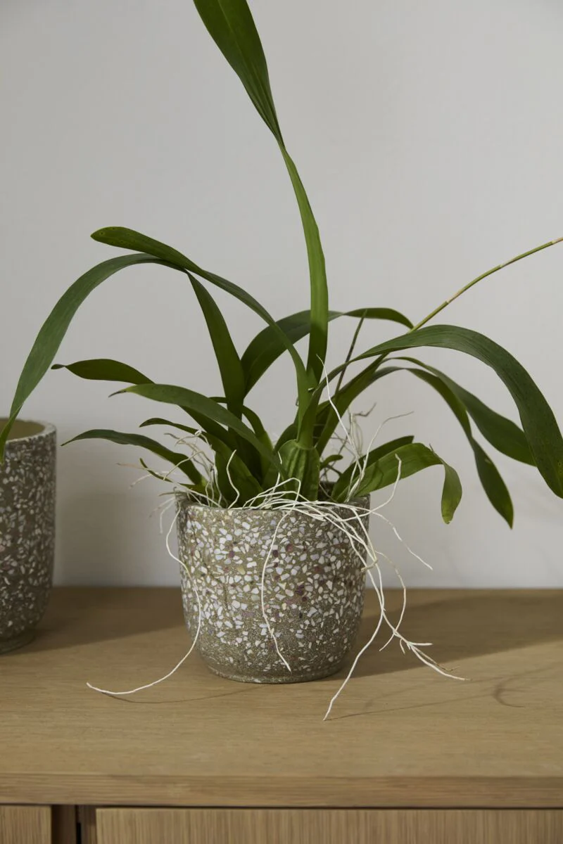 Cache-Pot Verde 5.5 x 5 AD SOLDE - Vente Finale