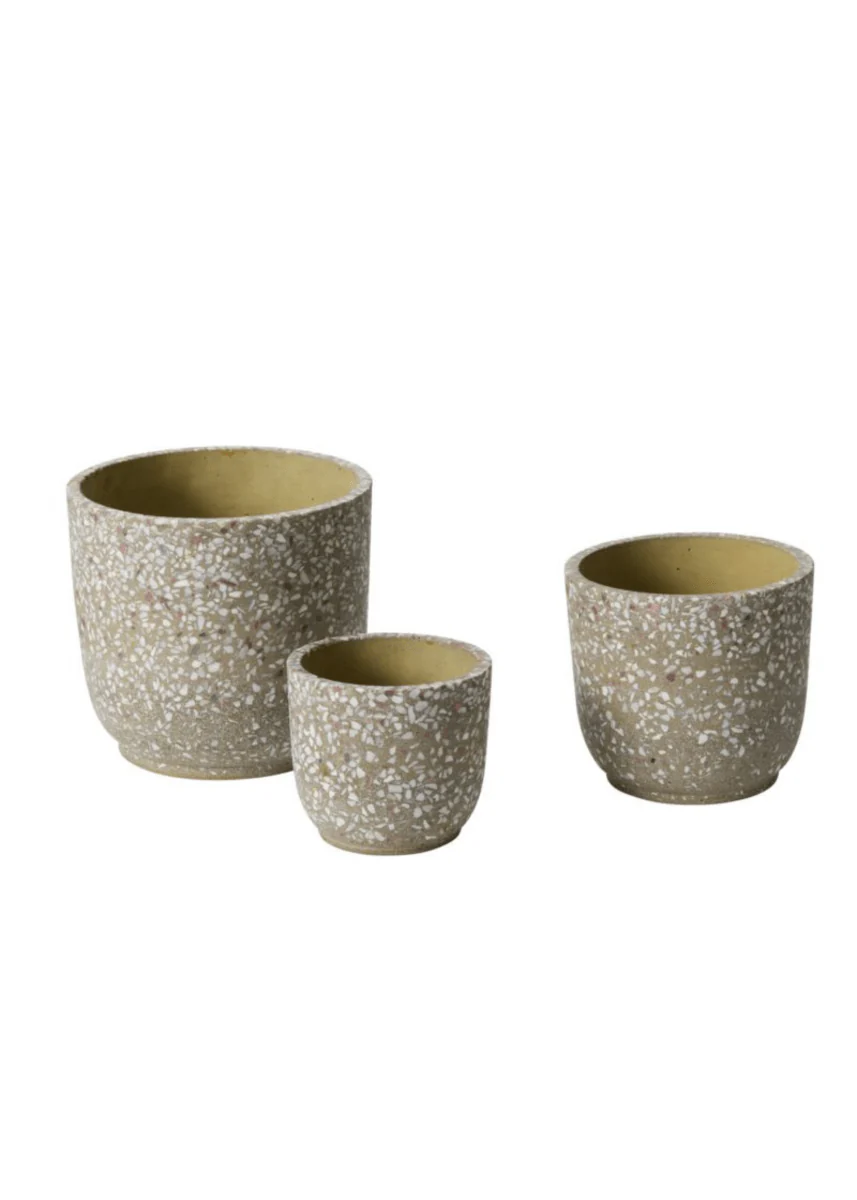 Cache-Pot Verde 5.5 x 5 AD SOLDE - Vente Finale - Image 2