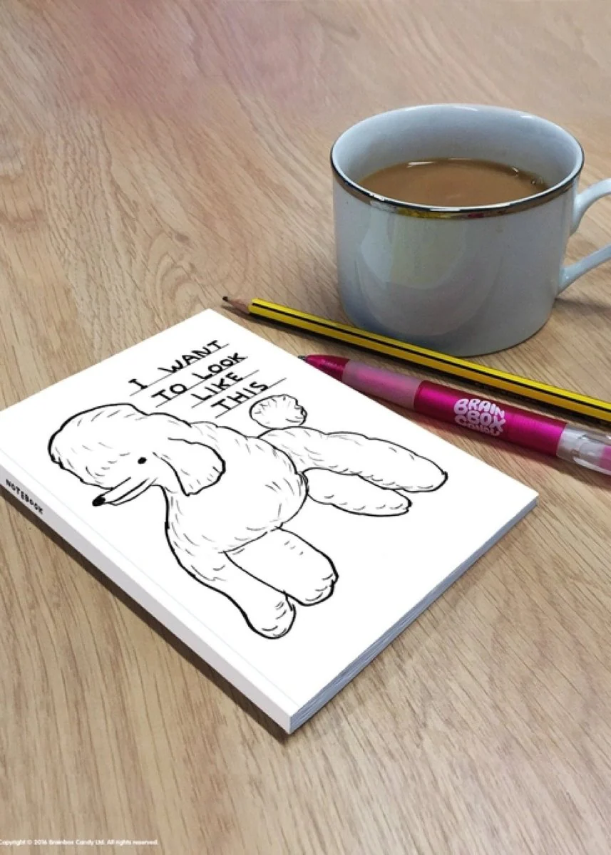 Carnet A6 I Want to Look like This D. Shrigley - Image 3