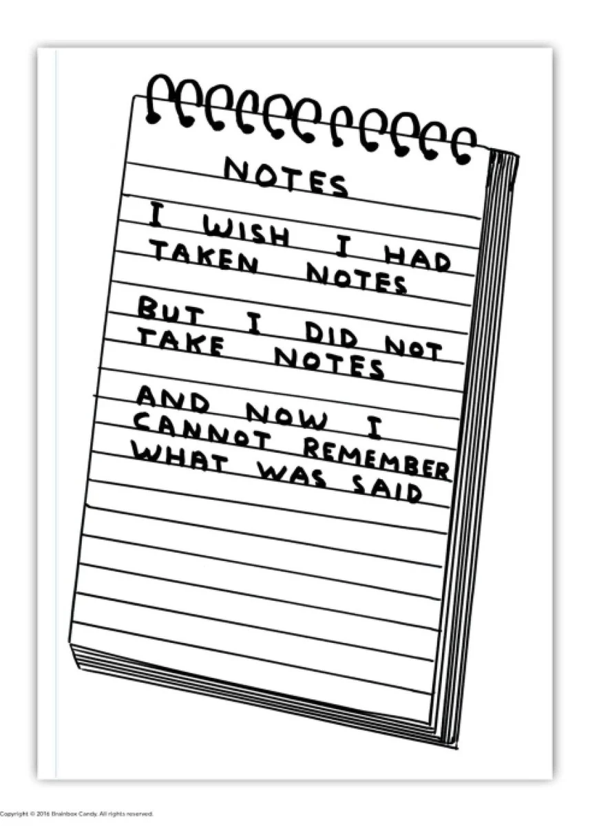 Carnet A6  Wish I'd Taken Notes D. Shrigley - Image 3