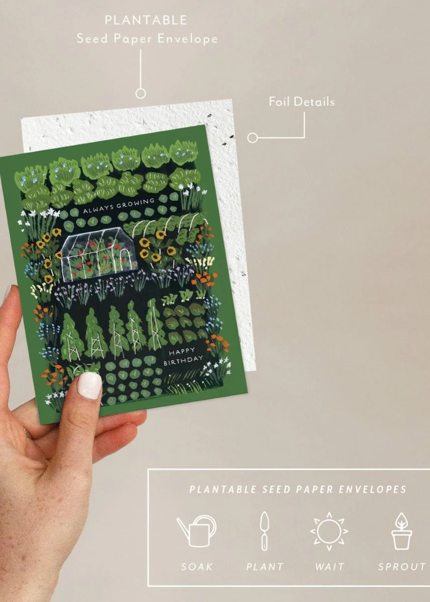 Carte de Souhaits Garden Greenhouse Seedlings - Image 2