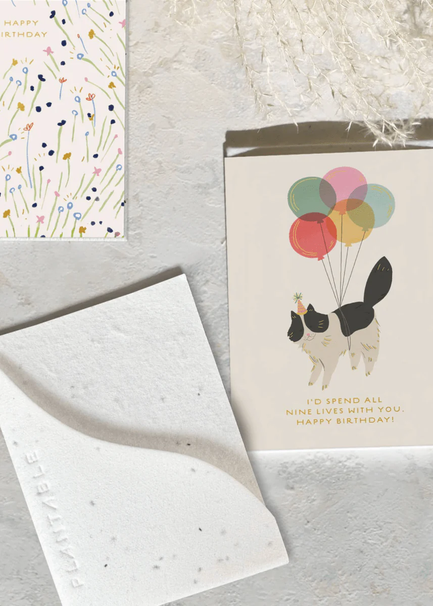 Carte de Souhaits Mini Birthday Kitty Seedlings - Image 3