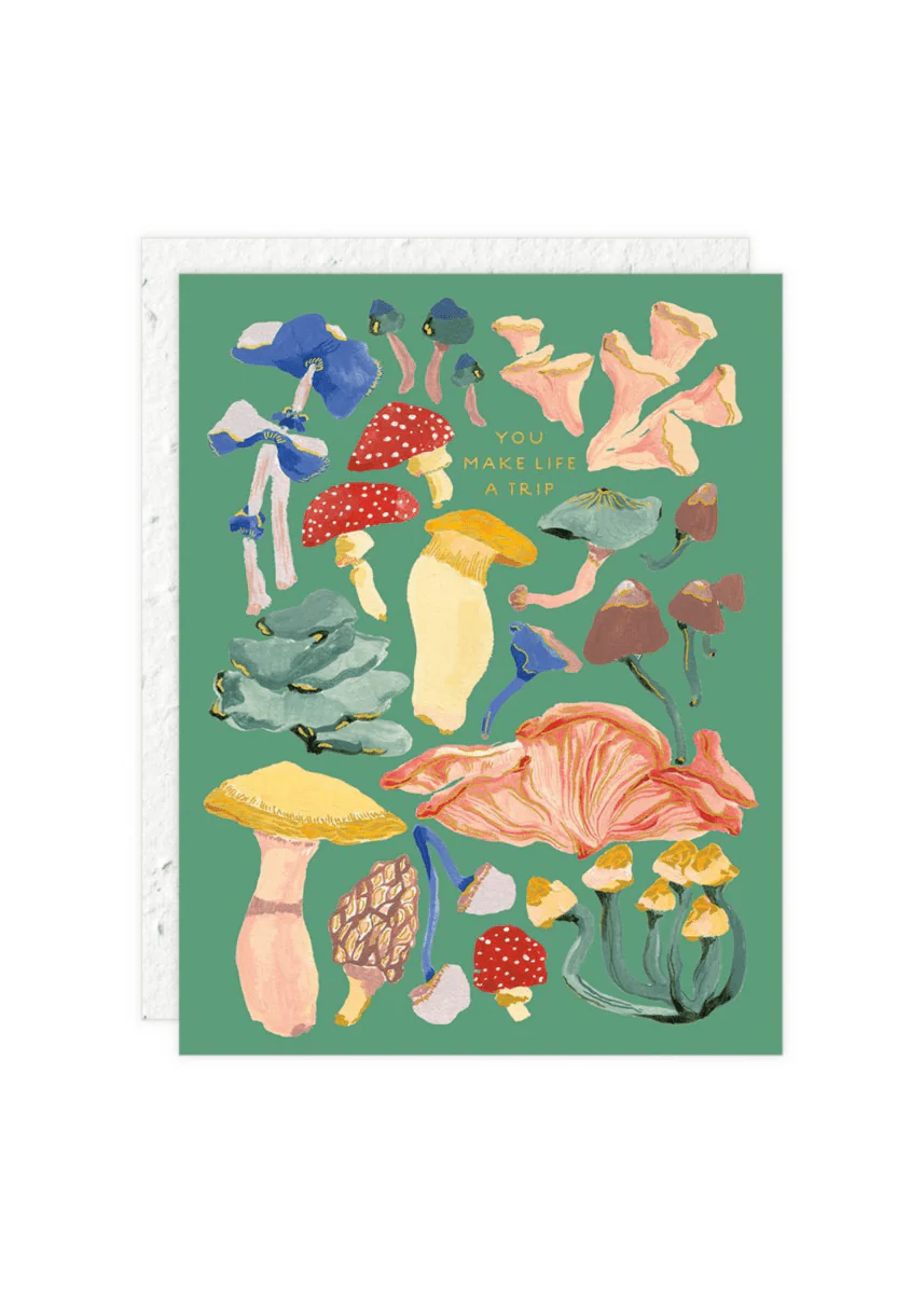 Carte de Souhaits Mini Shrooms Seedlings