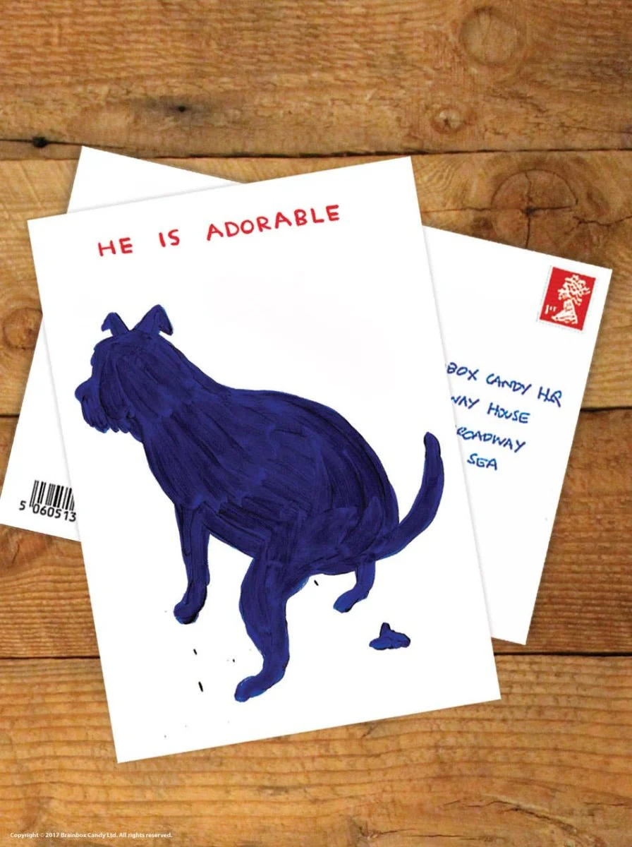 Carte Postale He Is Adorable D.Shrigley - Image 2