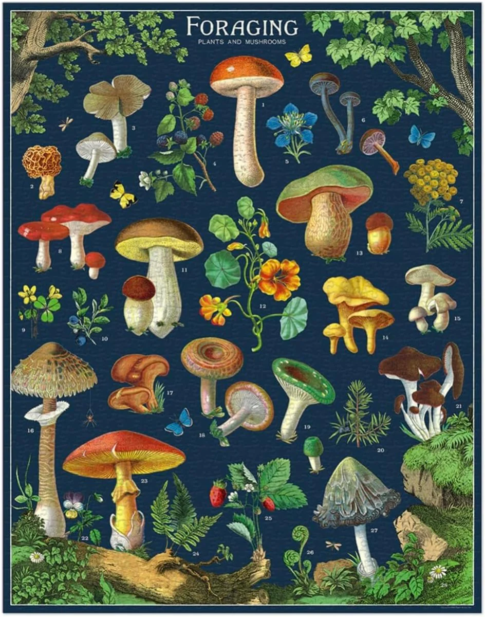 Casse-Tête Foraging 1000 pièces Cavallini - Image 2