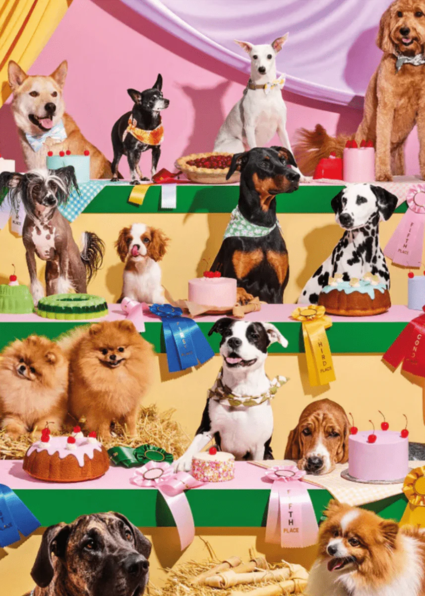 Casse-Tête Top Dog 1000 Pièces Piecework - Image 3
