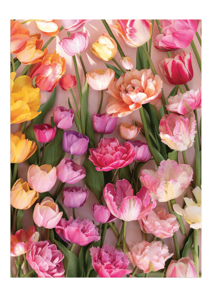 Casse-Tête Tulipes 1000 Pièces Chronicle Books - Image 4