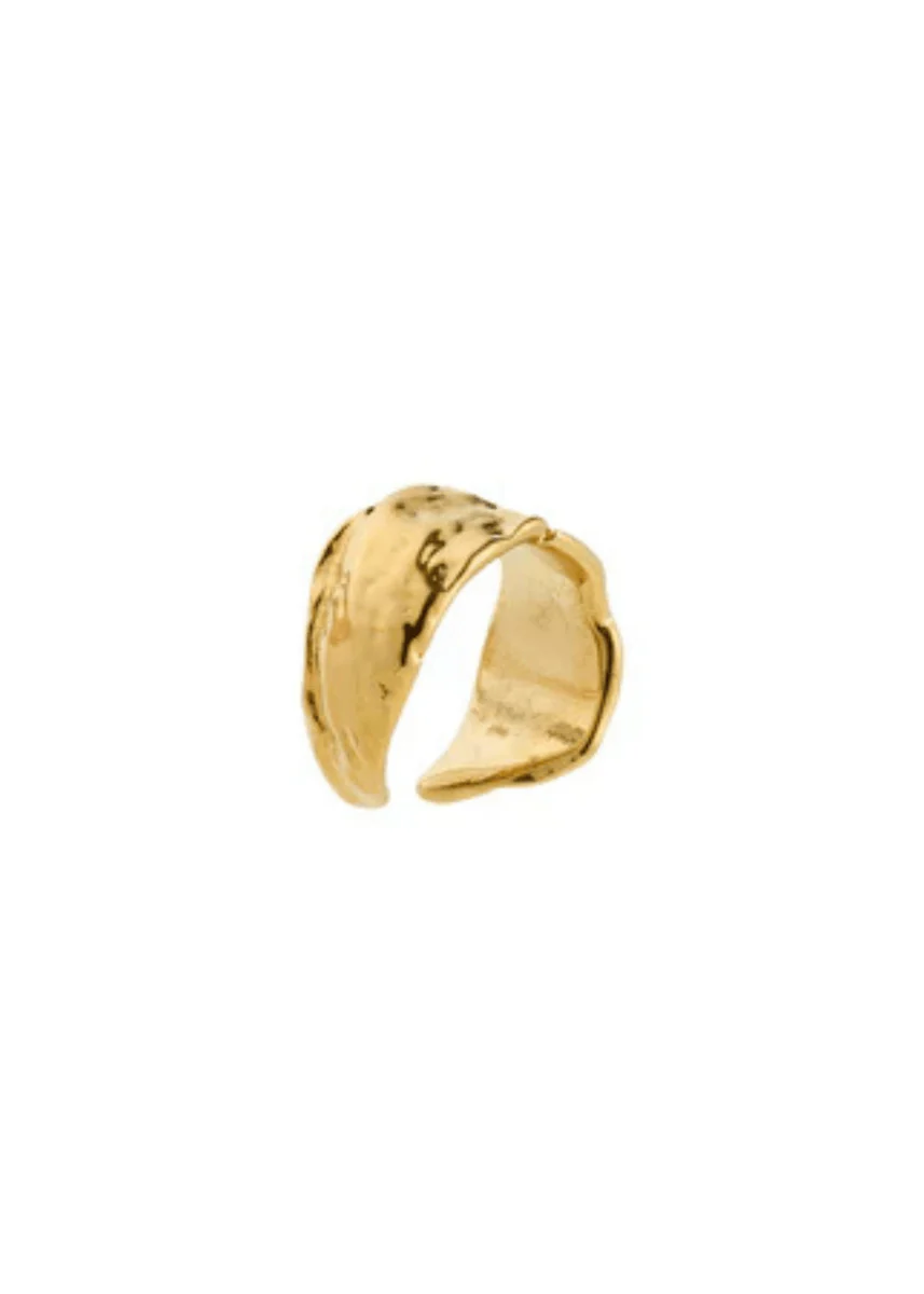 Ear Cuff Instant Pilgrim - Image 2