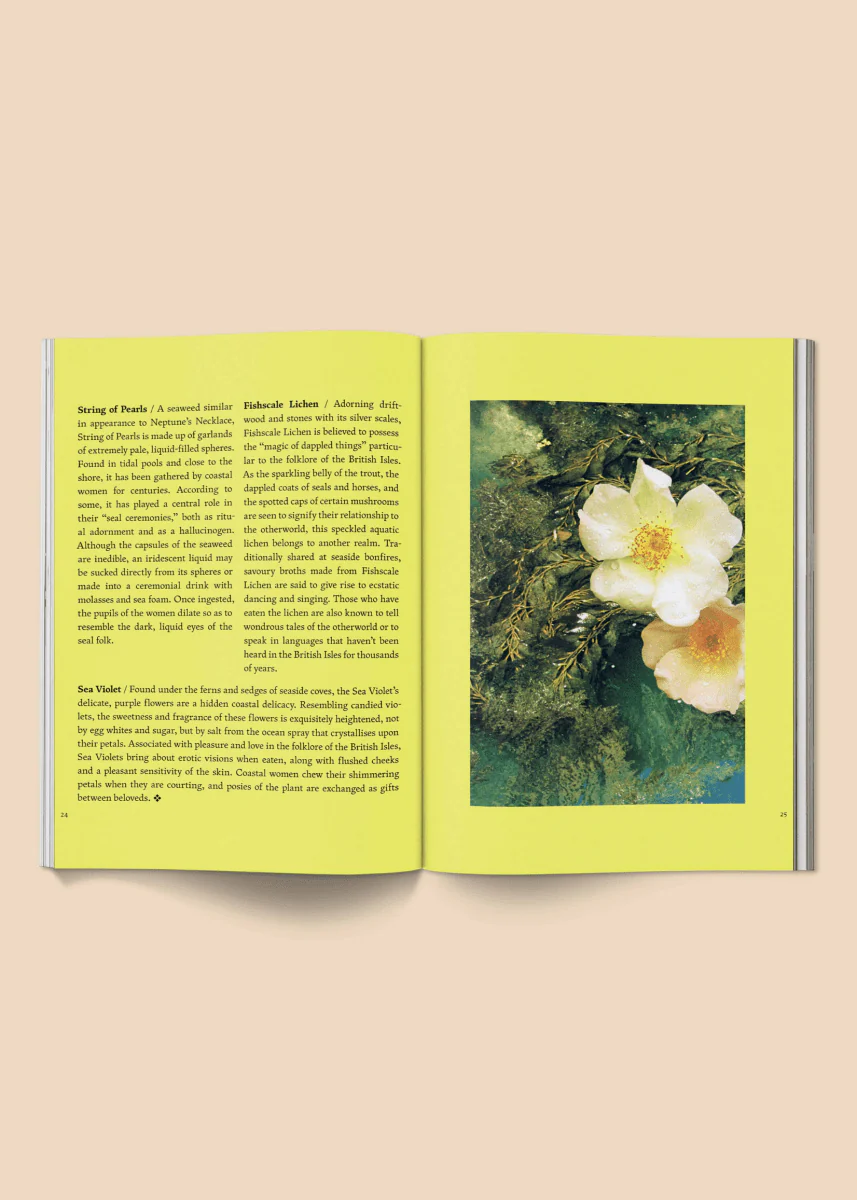 Magazine Fruit of Mythic Dreaming: Imagined Folklore Broccoli - Image 3