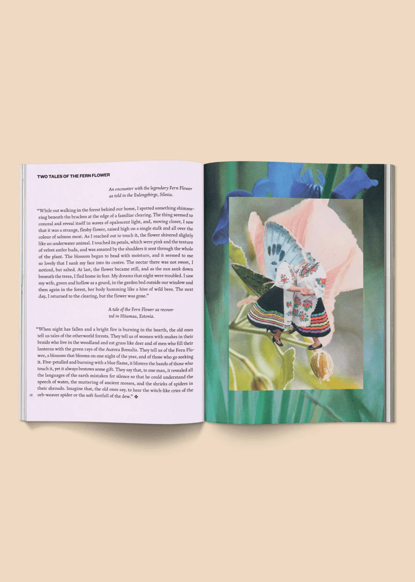Magazine Fruit of Mythic Dreaming: Imagined Folklore Broccoli - Image 4