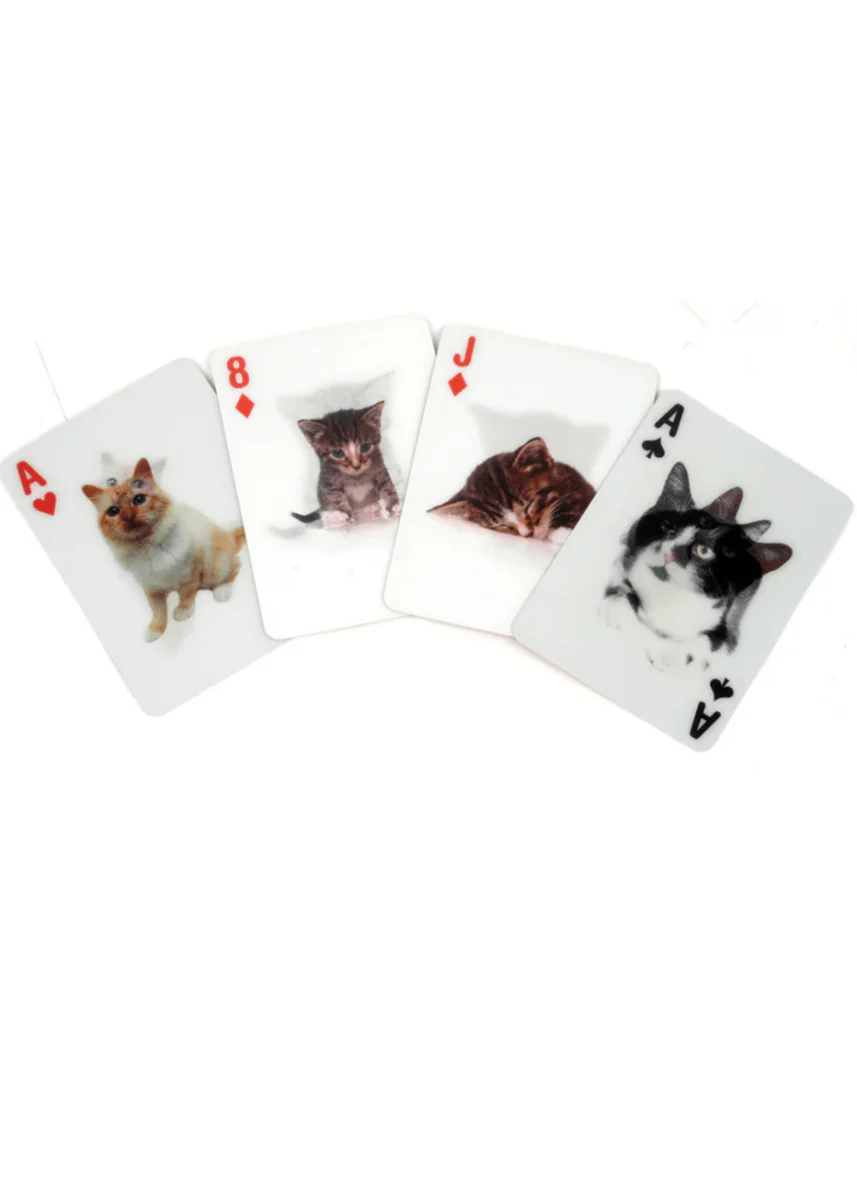 Jeu de Cartes 3D Chats KIK - Image 2