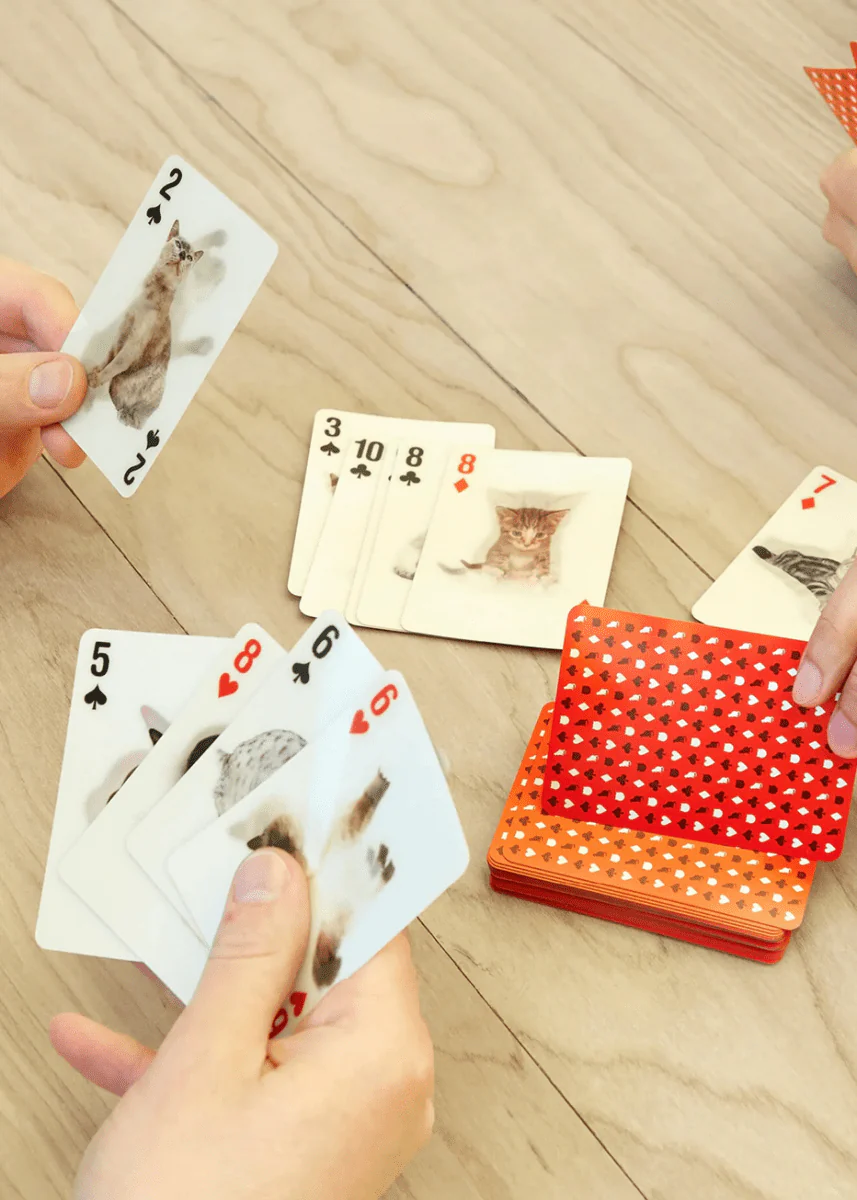 Jeu de Cartes 3D Chats KIK - Image 3