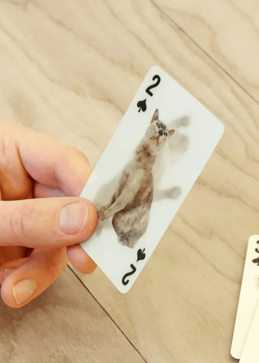 Jeu de Cartes 3D Chats KIK - Image 4
