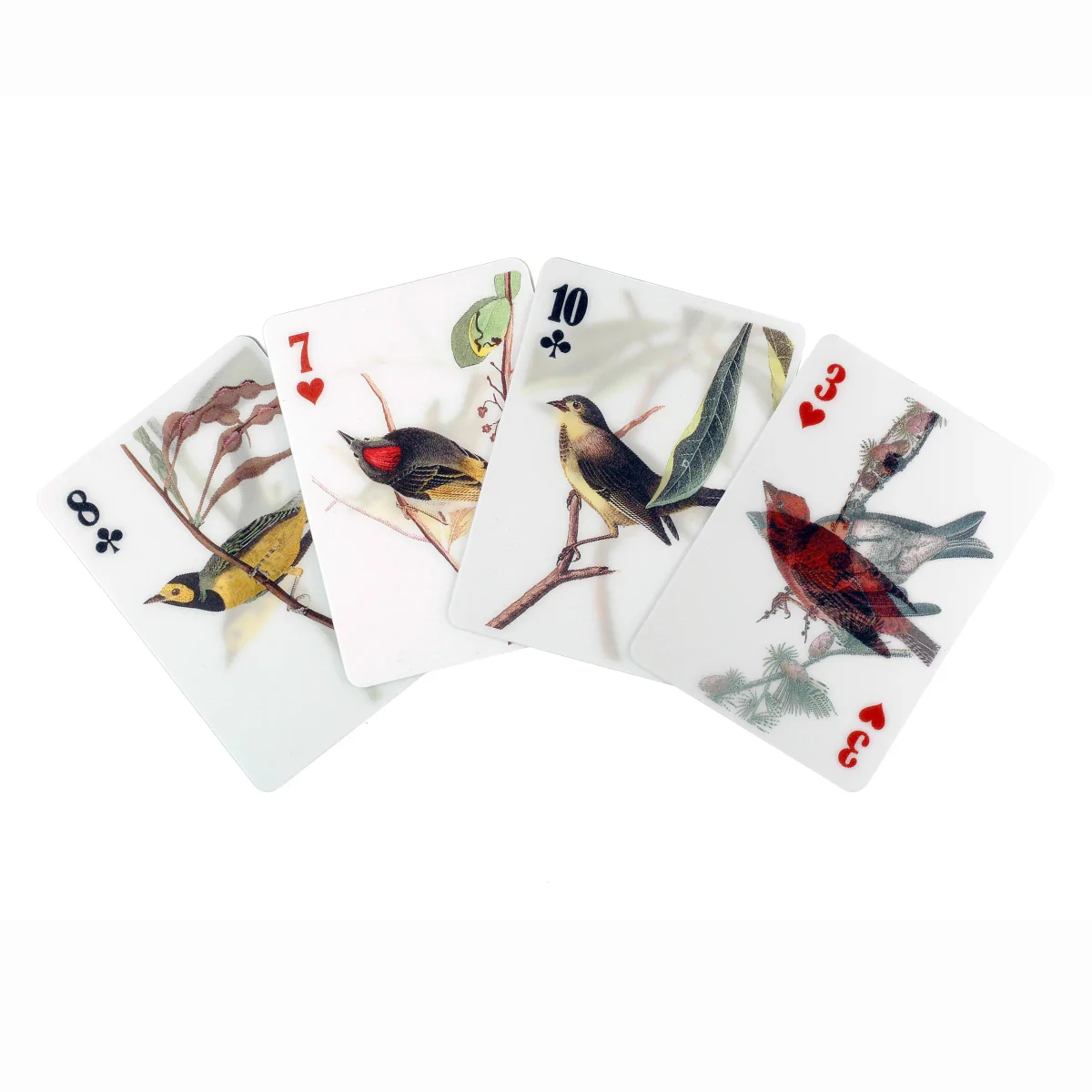 Jeu de cartes 3D Oiseaux Kikkerland - Image 5