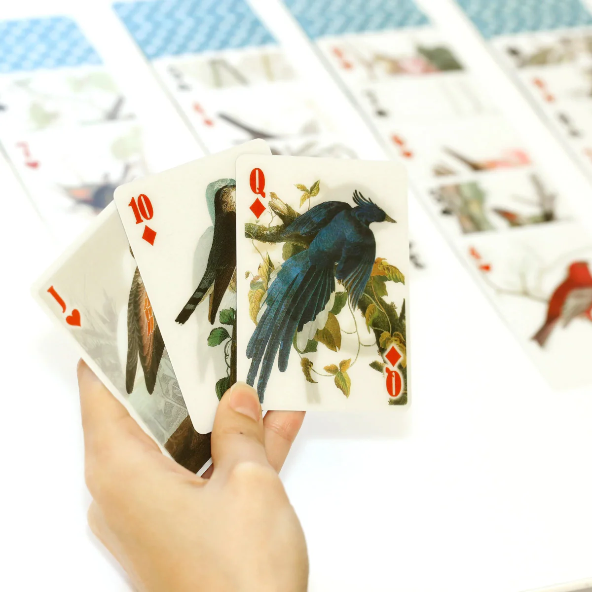 Jeu de cartes 3D Oiseaux Kikkerland - Image 7