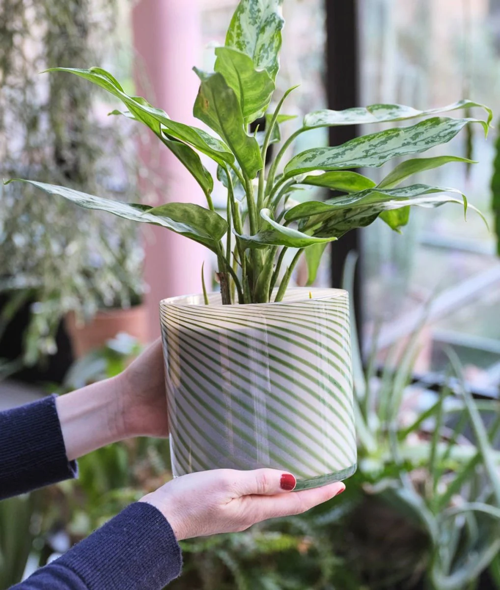 Large Cache-Pot Spiral Vert Wrap