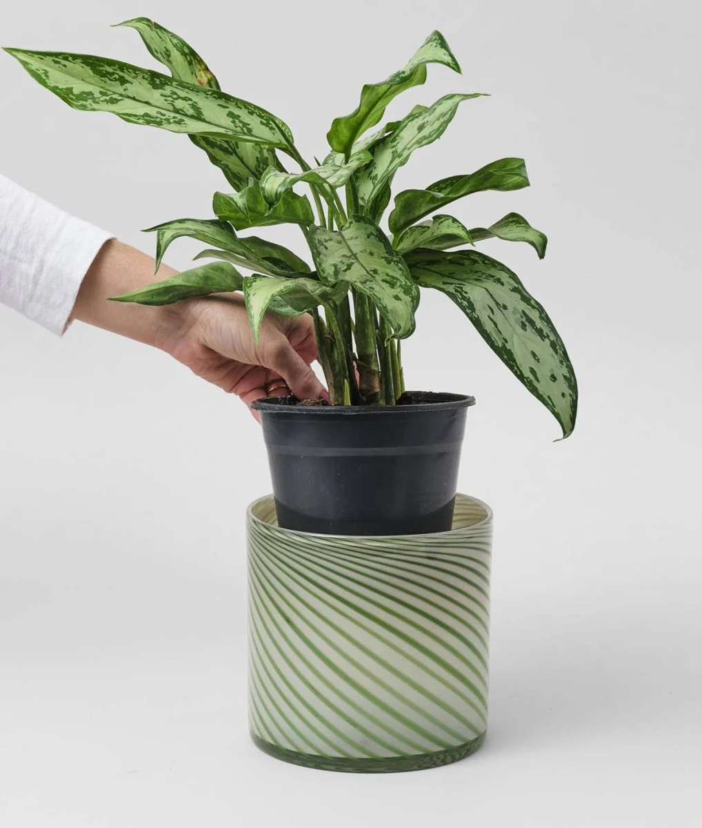 Large Cache-Pot Spiral Vert Wrap - Image 4