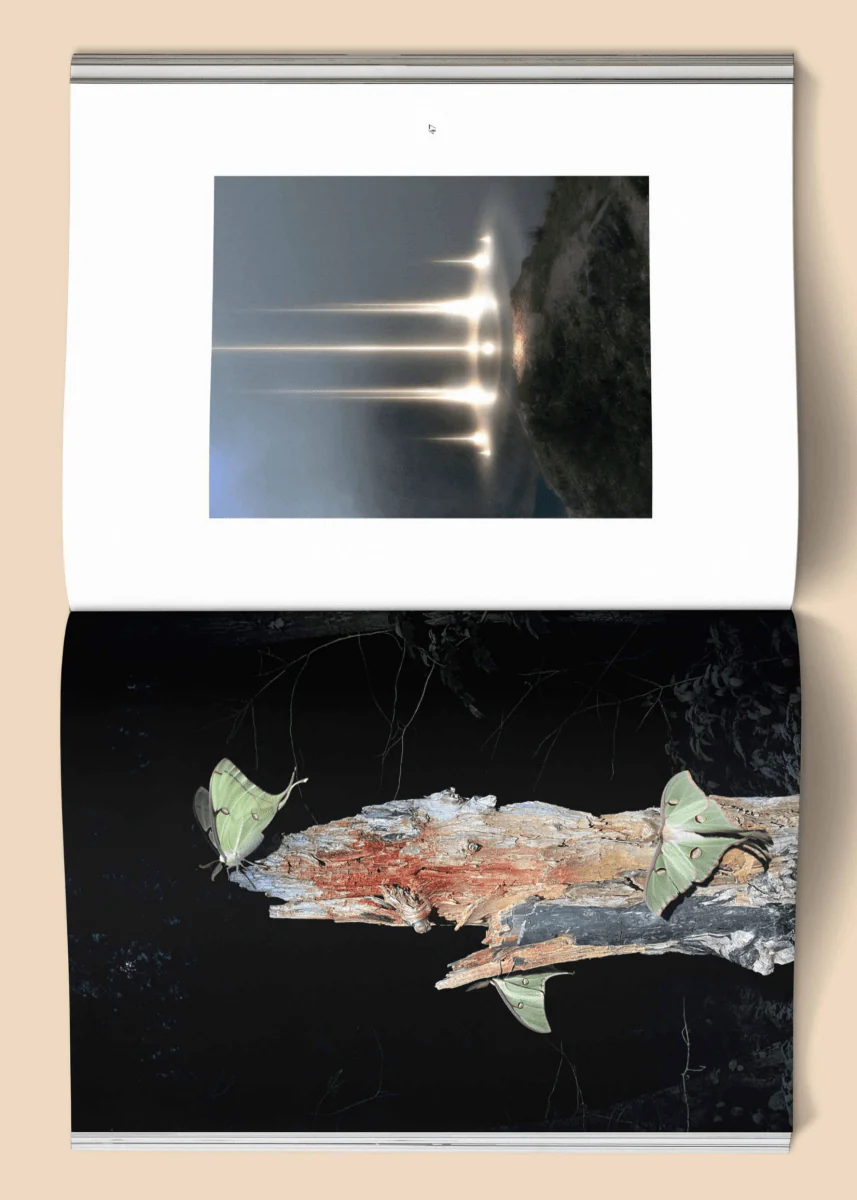 Livre Female Pentimento: Inner Nature Broccoli - Image 3