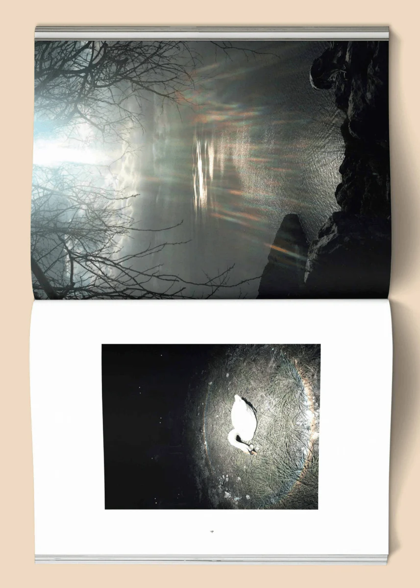 Livre Female Pentimento: Inner Nature Broccoli - Image 4