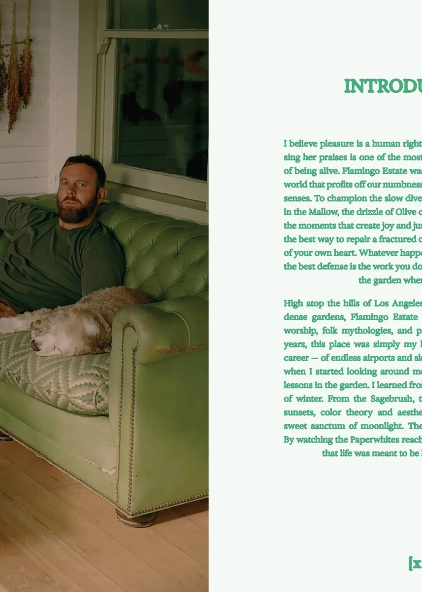 Livre Flamingo Estate: The Guide to Becoming Alive Chronicle Books - Image 3