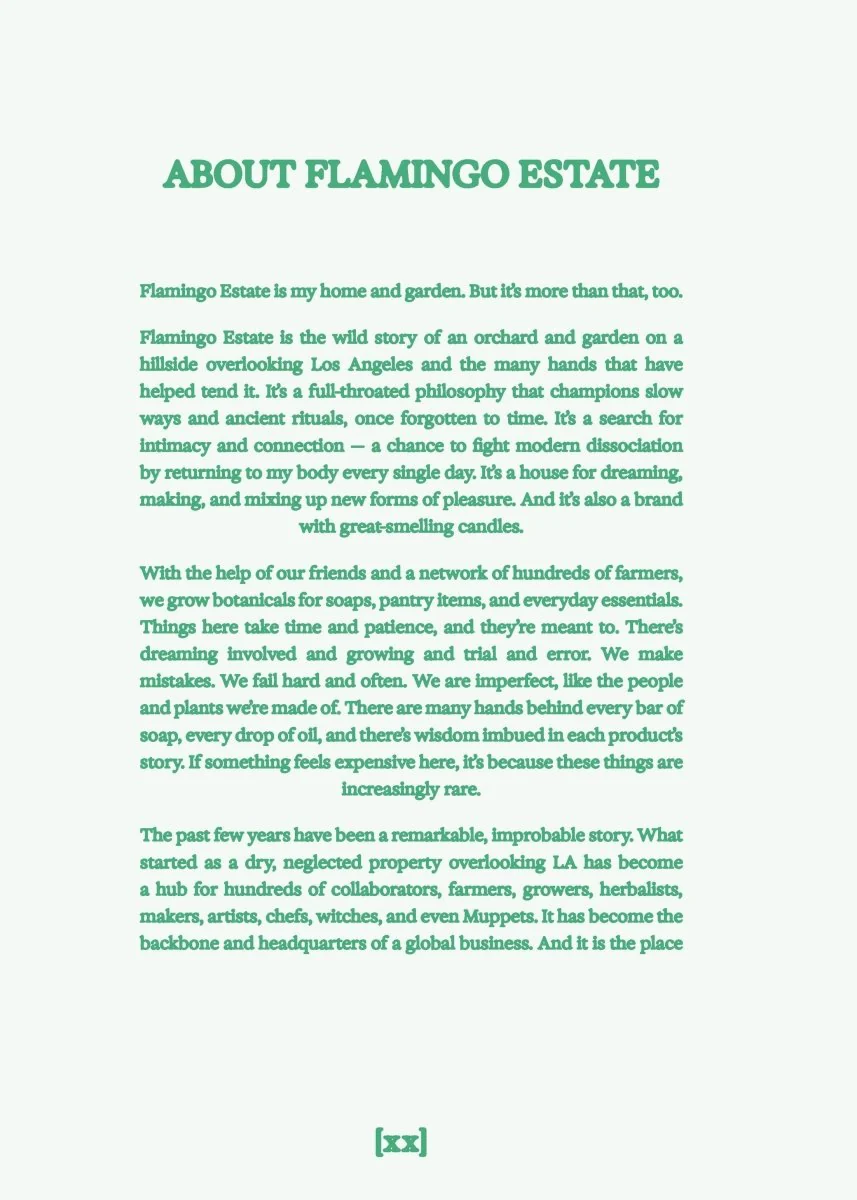 Livre Flamingo Estate: The Guide to Becoming Alive Chronicle Books - Image 4