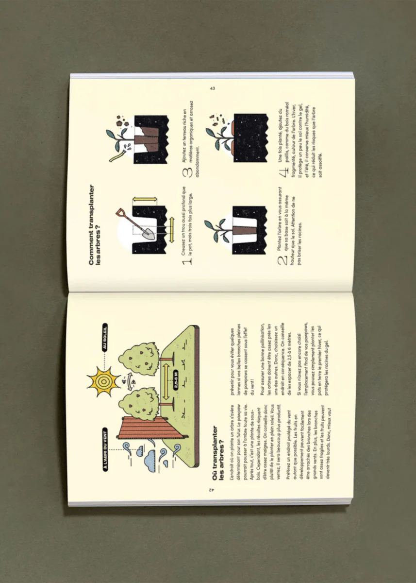 Livre Le Pawpaw: Son histoire et sa culture Nutritioniste Urbain - Image 4