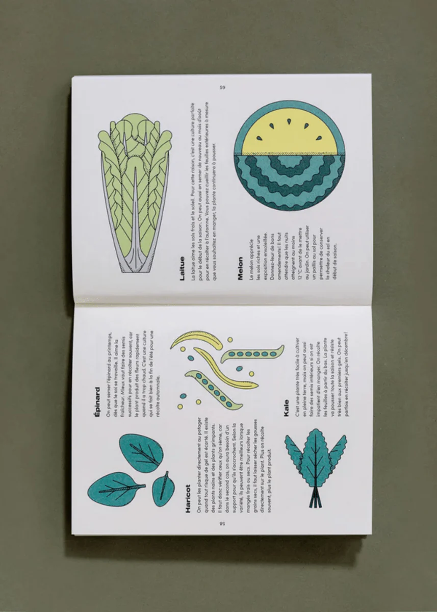 Livre Le Petit Guide illustré du Potager - Nutritioniste Urbain - Image 4