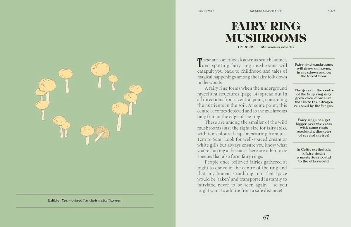 Livre Mushrooms Chronicle Books - Image 10