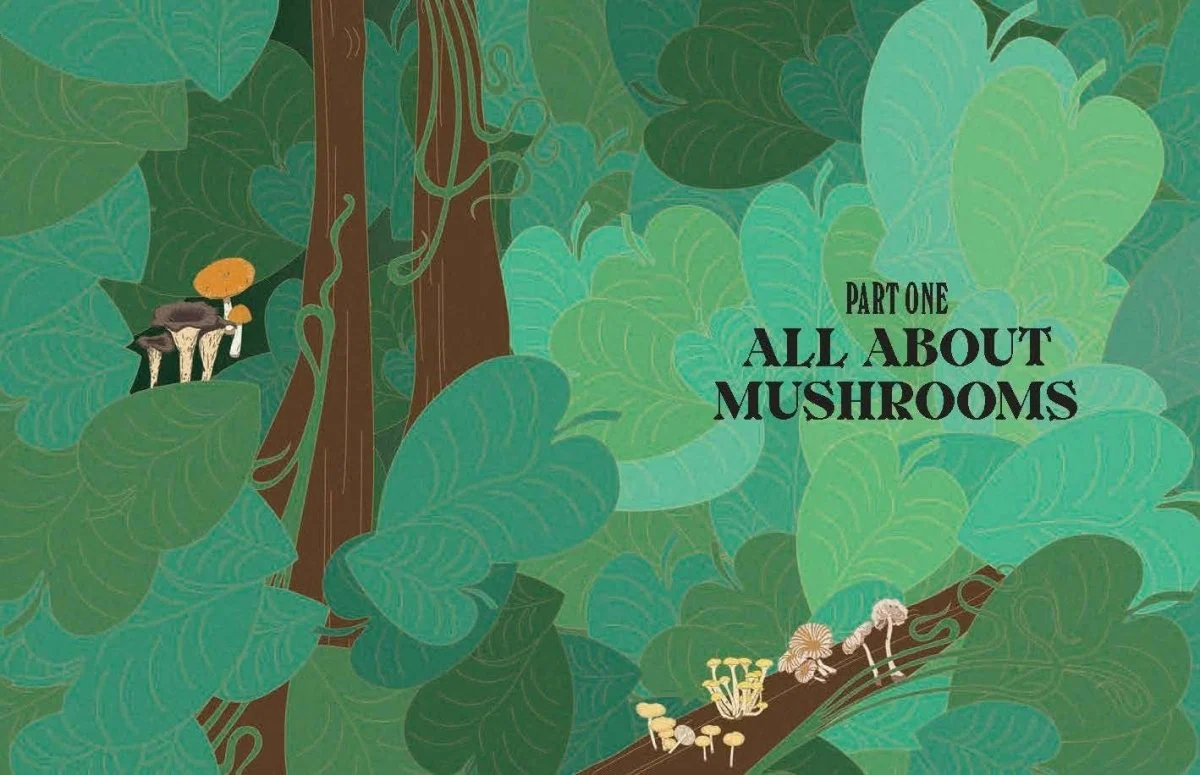 Livre Mushrooms Chronicle Books - Image 3